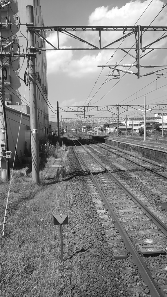 白石のホーム