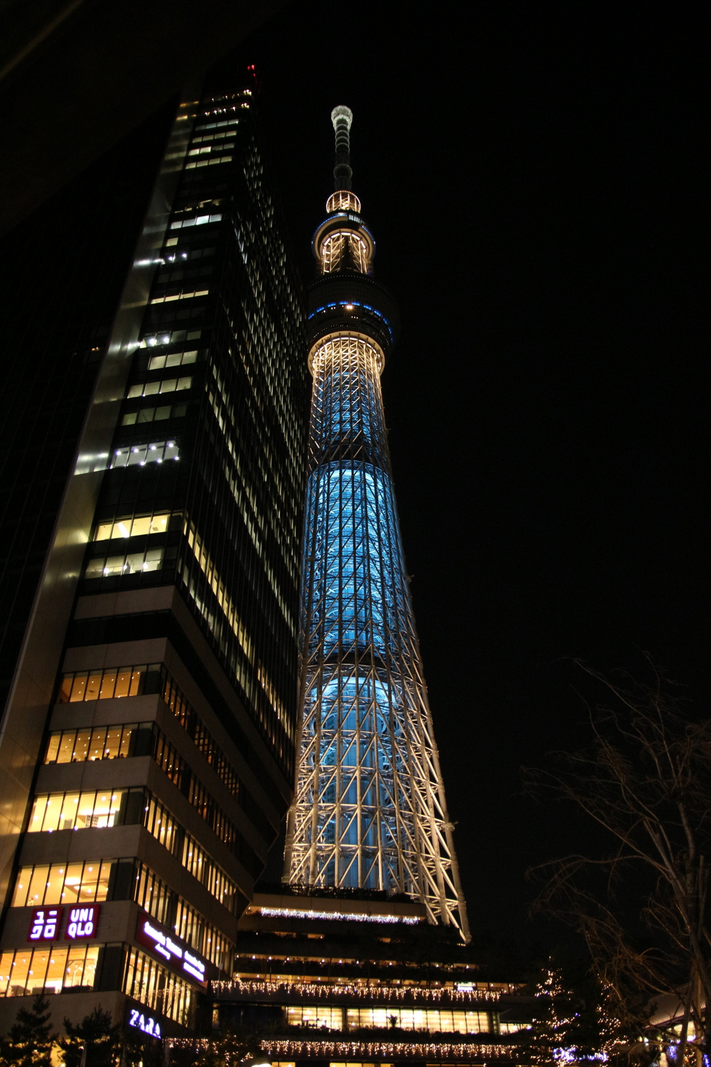 スカイツリー(EOS 40D修正版)