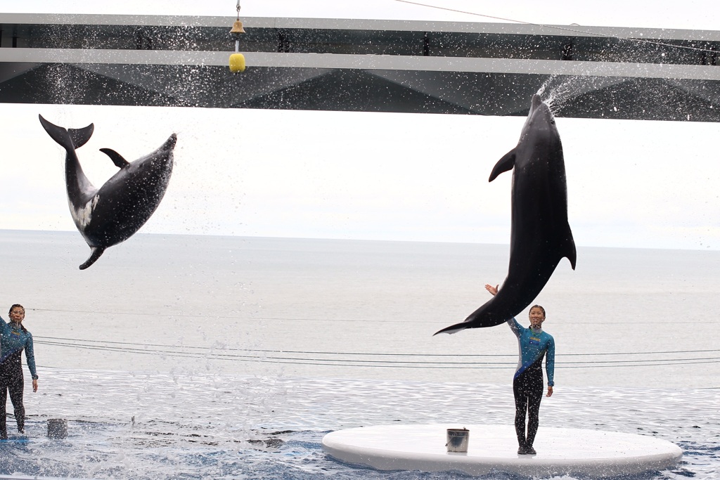 スプラッシュ！