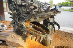 西本願寺の龍