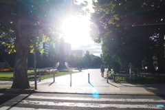 横断歩道