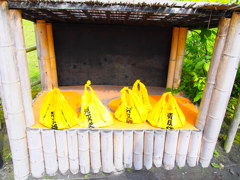 火山灰