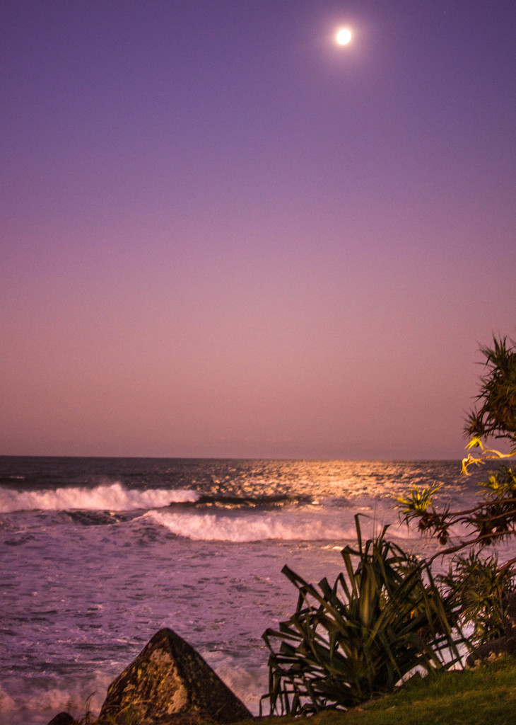 夕方の海