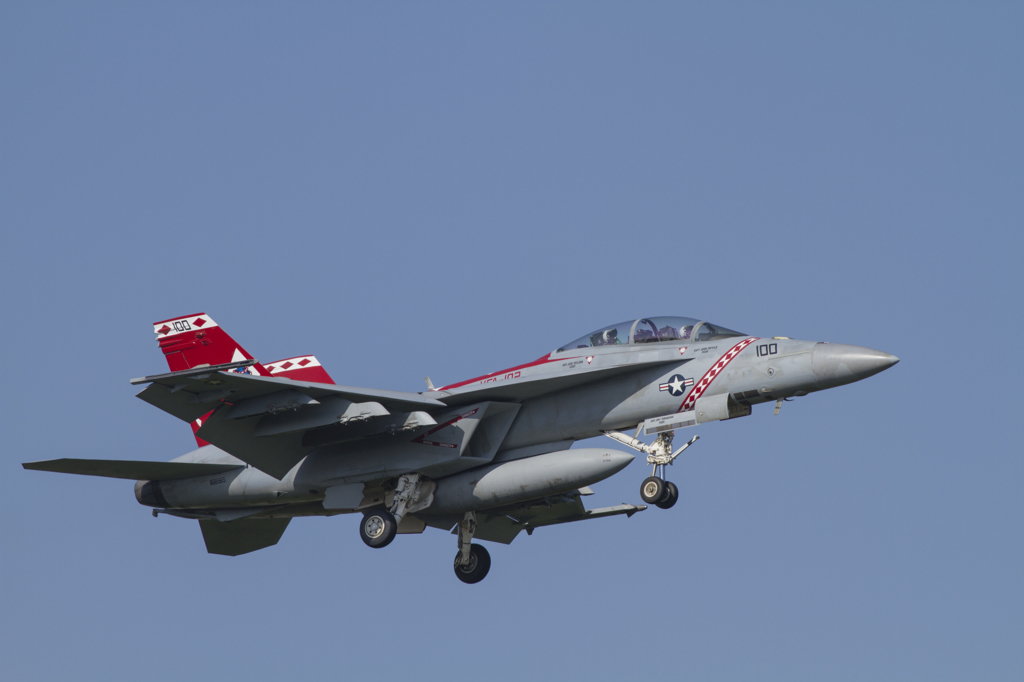 F/A-18E NF100 Diamondbacks