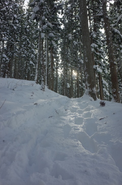 冬の山路