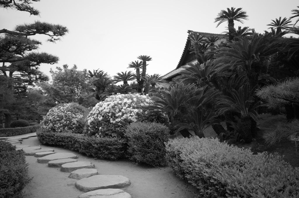 南国の日本庭園