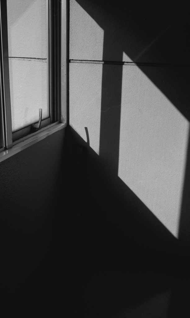 窓