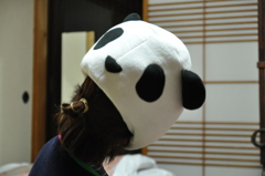 捕食の瞬間