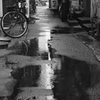 雨