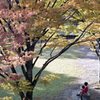 秋の公園にて
