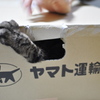 商品に稀に猫が混入する場合がありますが問題ありません