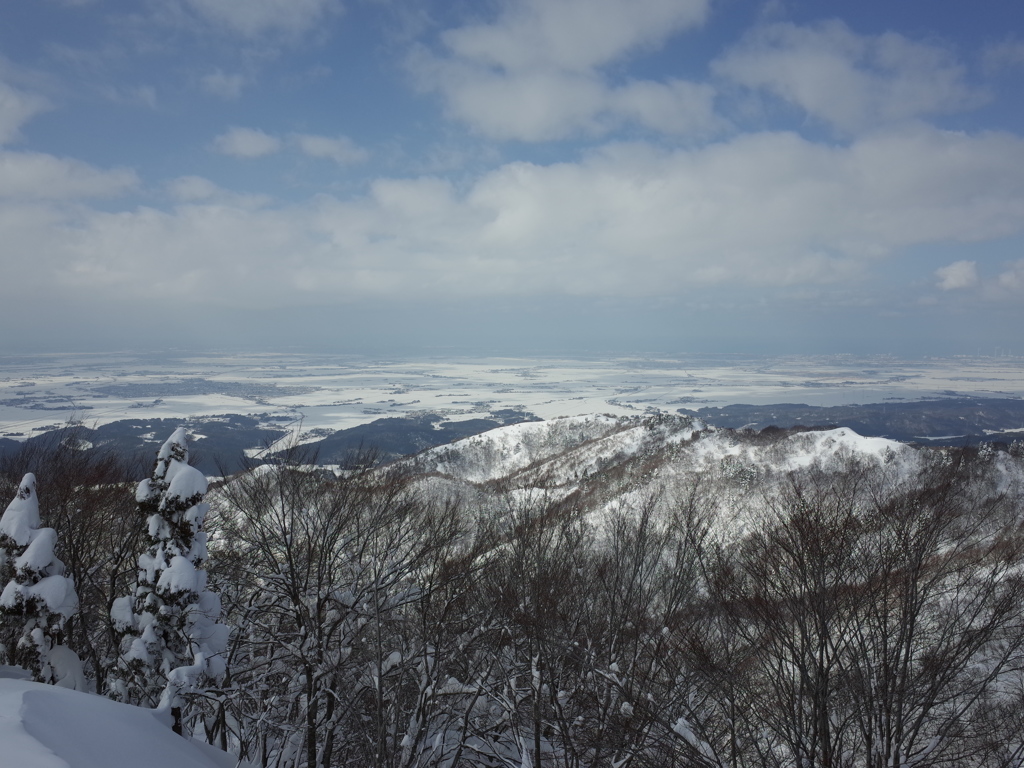 冬の越後平野