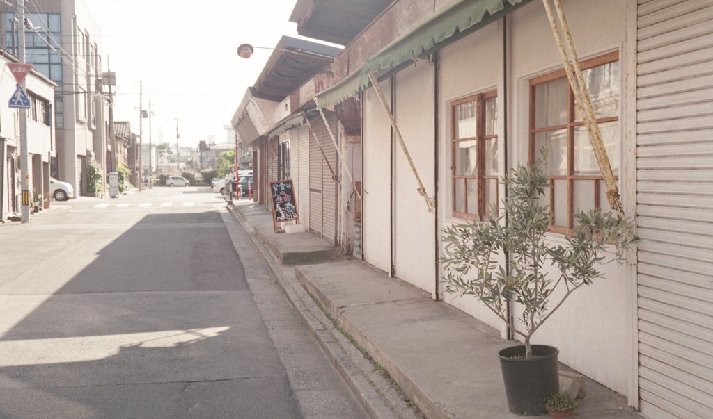 沼垂