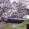さまざまの