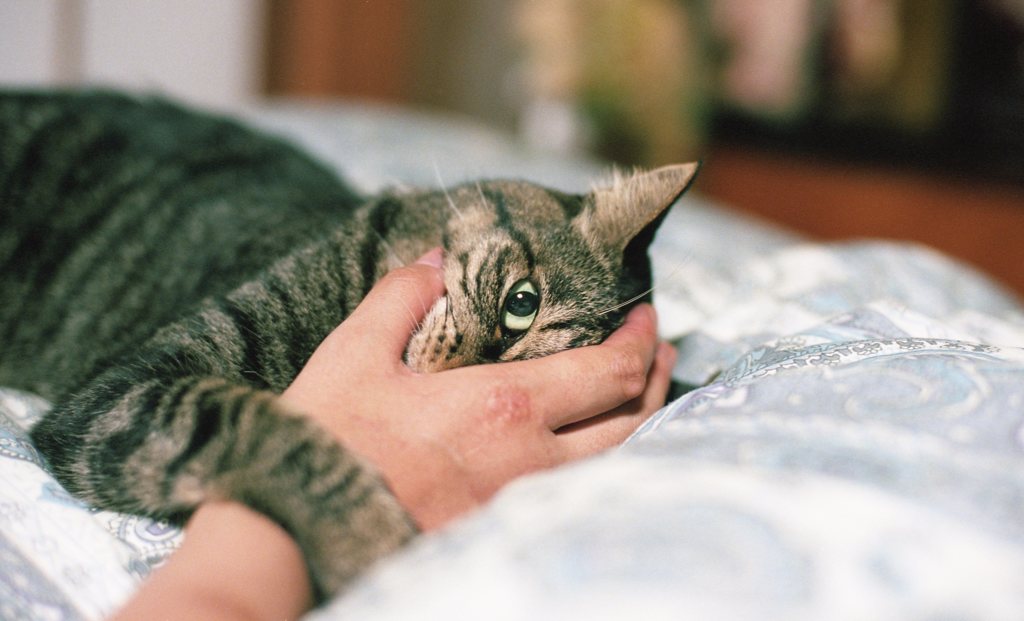 眠そう