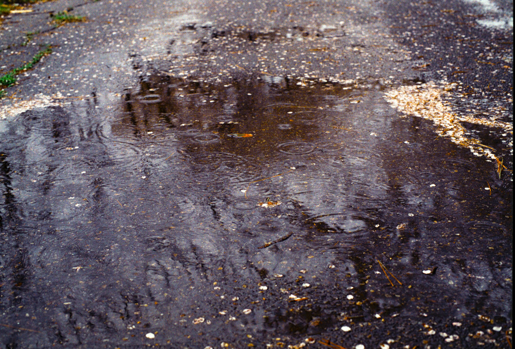 雨