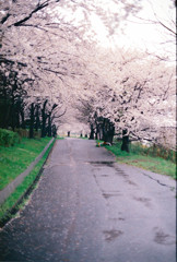 雨の公園3