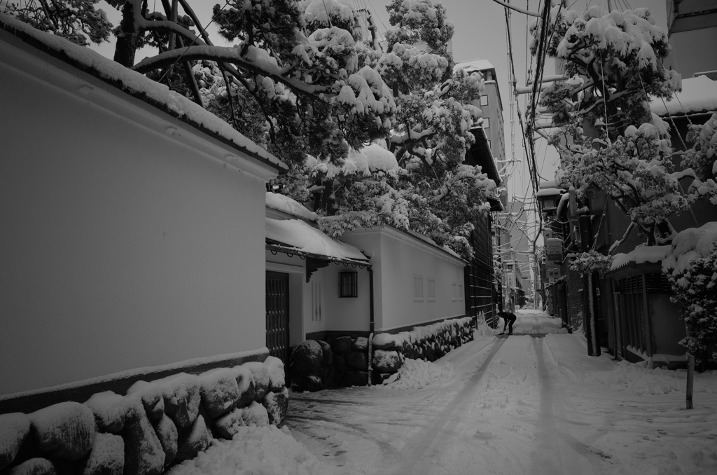 一夜にして