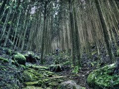 世界遺産を歩く