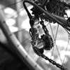 Velo