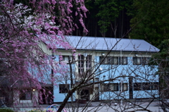 School