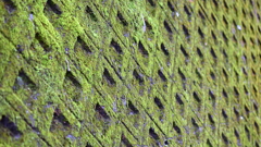 Green Diamonds
