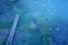 Hot Spring