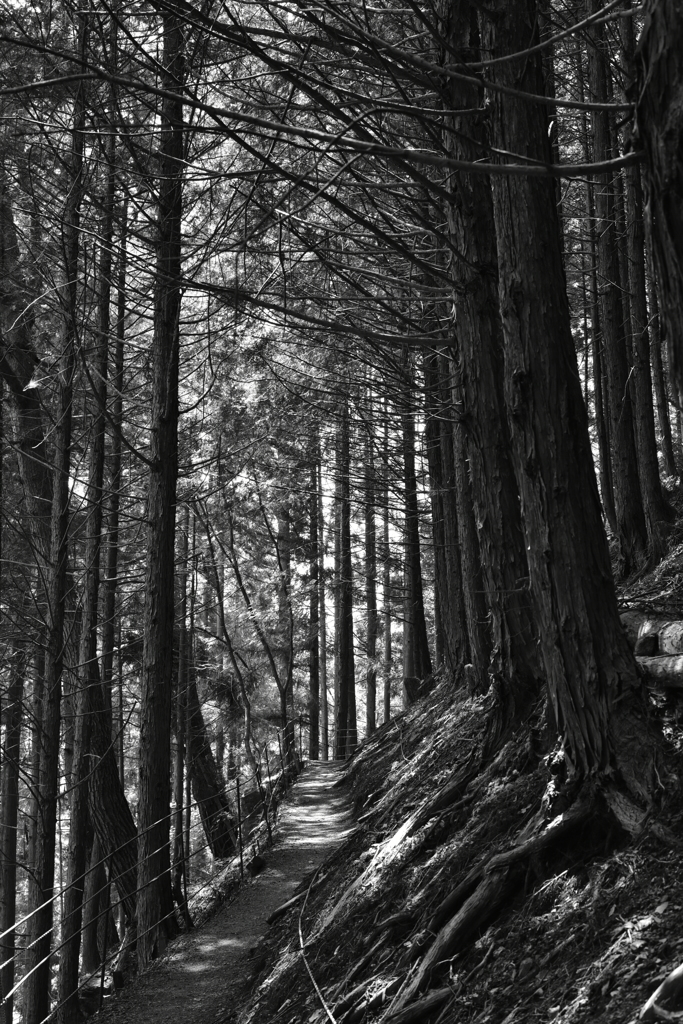 Path