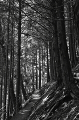 Path