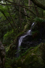鷹峰