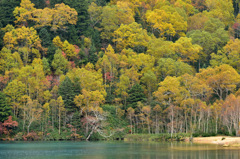 Autumn Snap