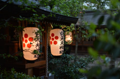 錦