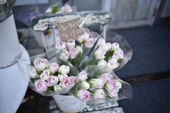 Tulip