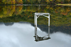 Autumn Snap