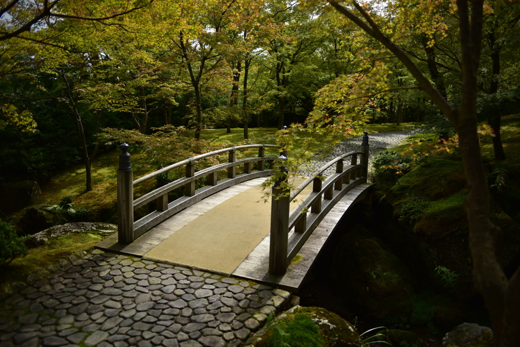 箱根の庭