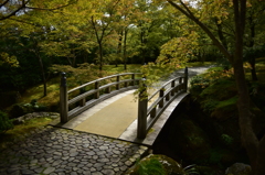 箱根の庭