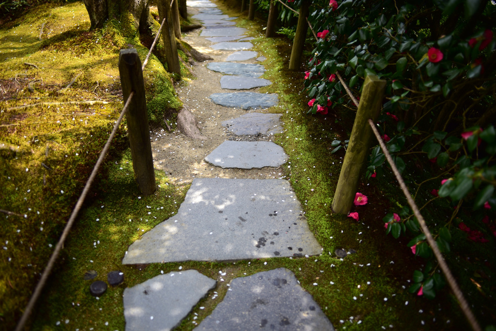 Path