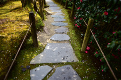 Path