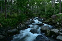 Flow