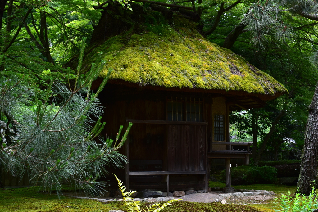 Kyoto