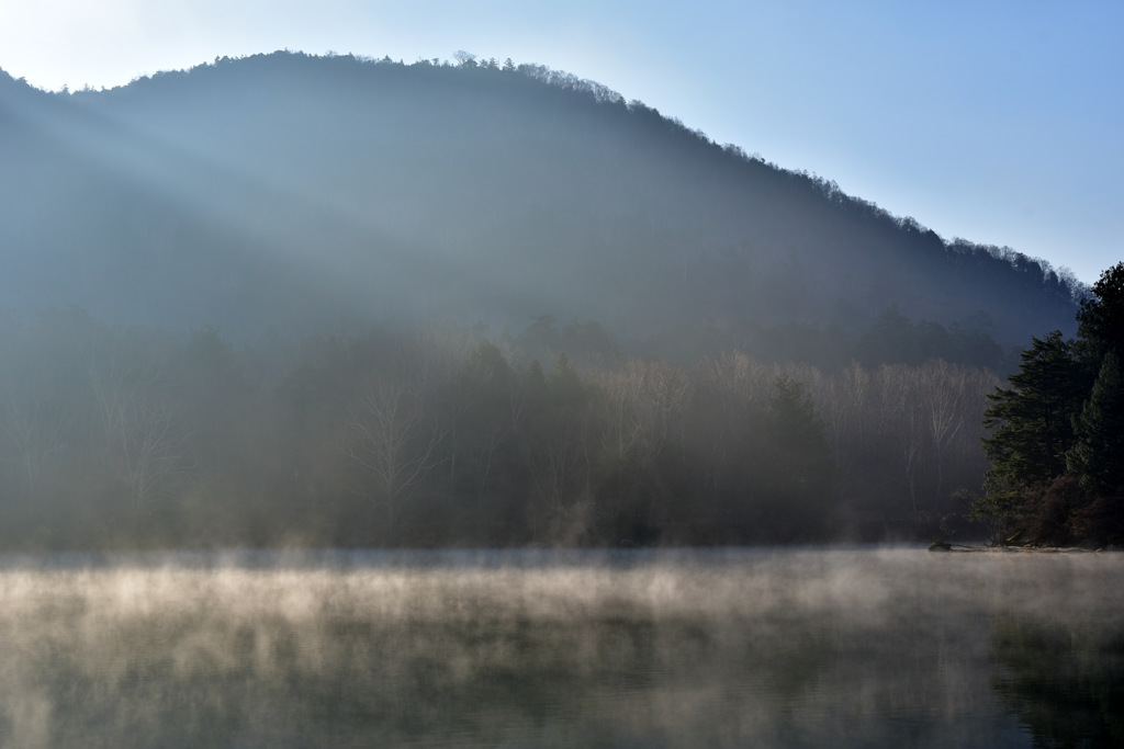 Morning Light