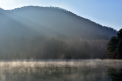 Morning Light