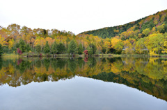 Autumn Snap