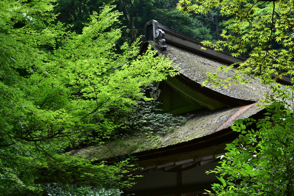 鞍馬