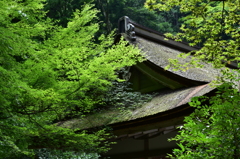 鞍馬