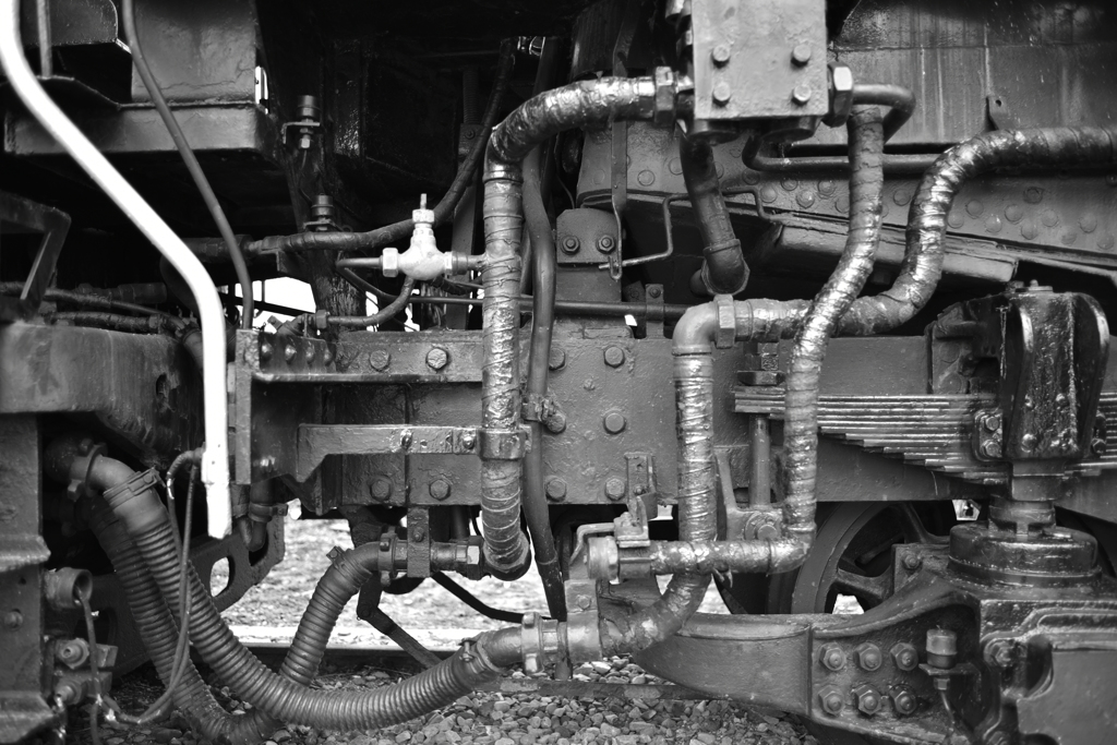 D51