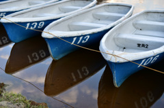 Reflection