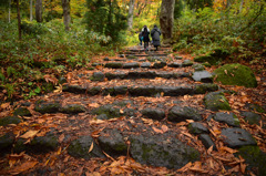 Autumn Snap