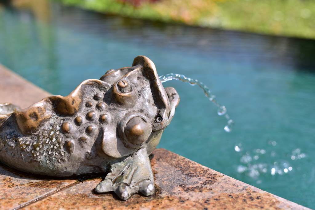 Brass Fish