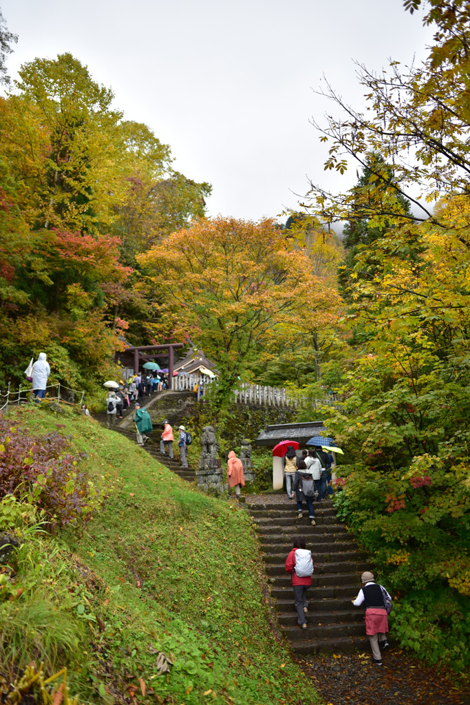 Autumn Snap